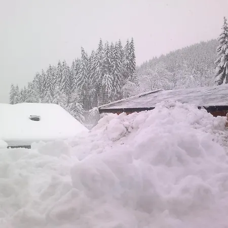 Appartement Schmittenblick *