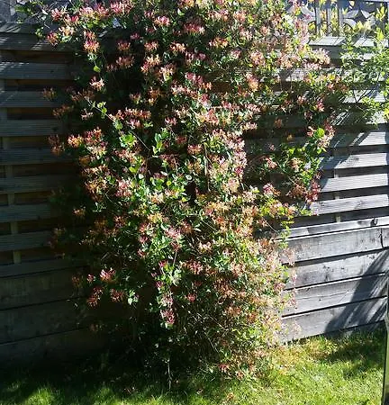 Schmittenblick * Zell am See