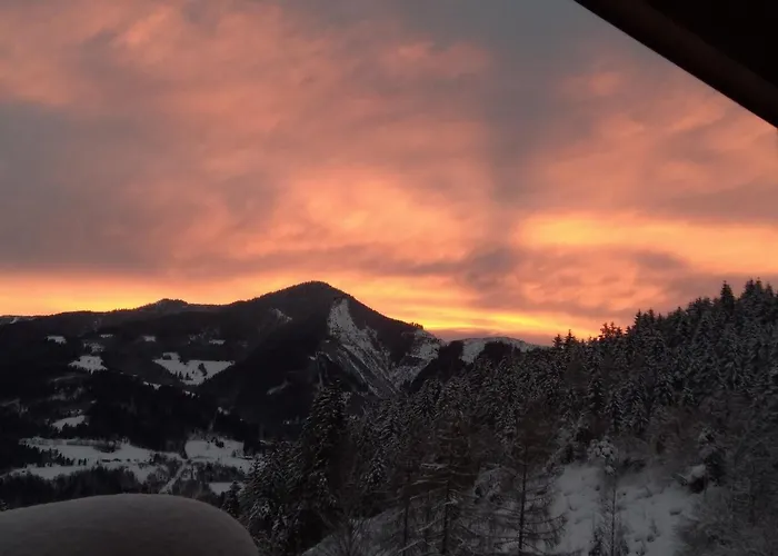 Schmittenblick Lejlighed *