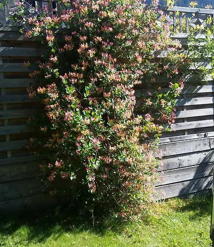 Schmittenblick * Zell am See